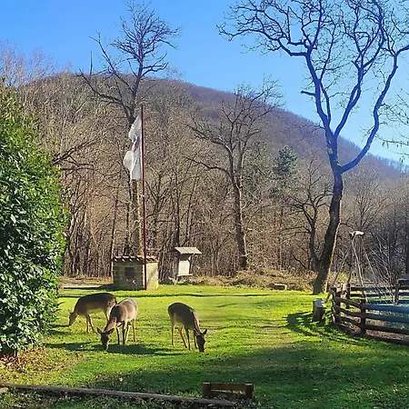 L'imposto Pratovecchio