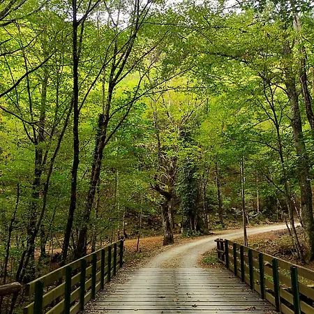 Han/Misafirhane L'imposto *