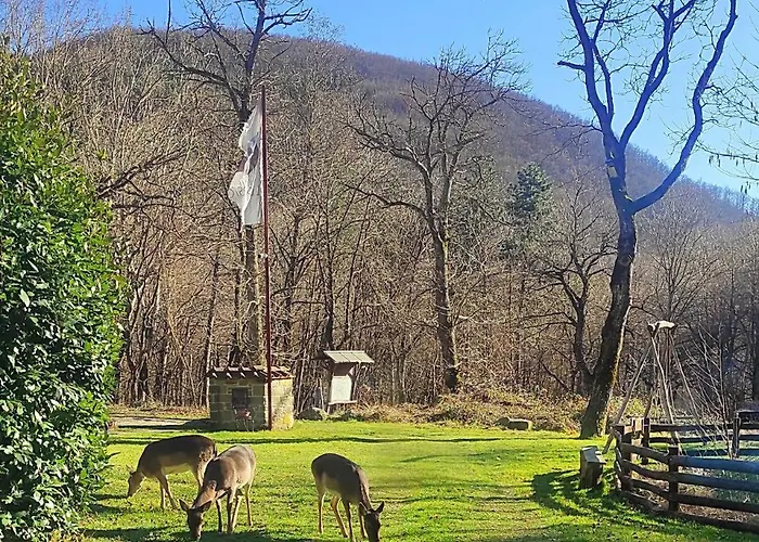 L'imposto Pratovecchio